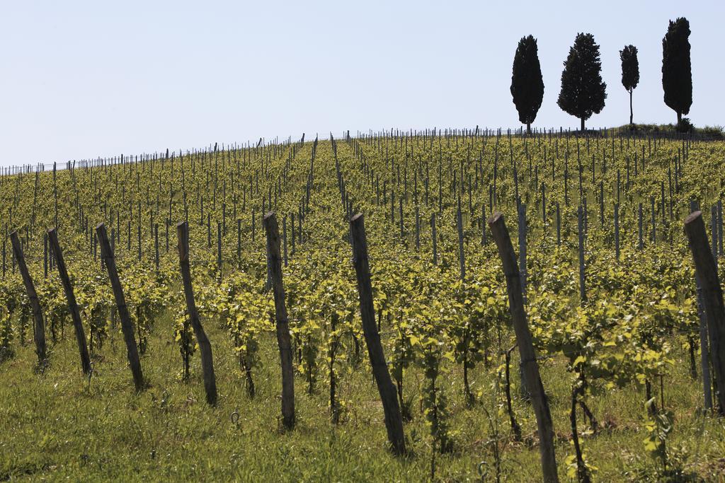 Le Buche Wine Resort&Spa Macciano Bagian luar foto