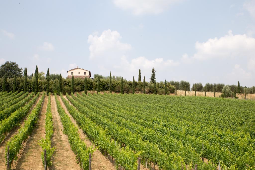Le Buche Wine Resort&Spa Macciano Bagian luar foto