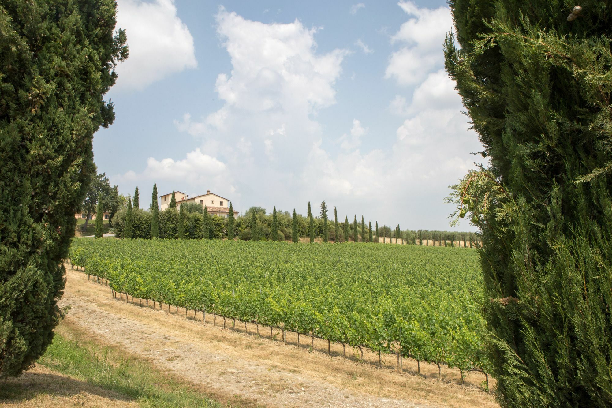 Le Buche Wine Resort&Spa Macciano Bagian luar foto